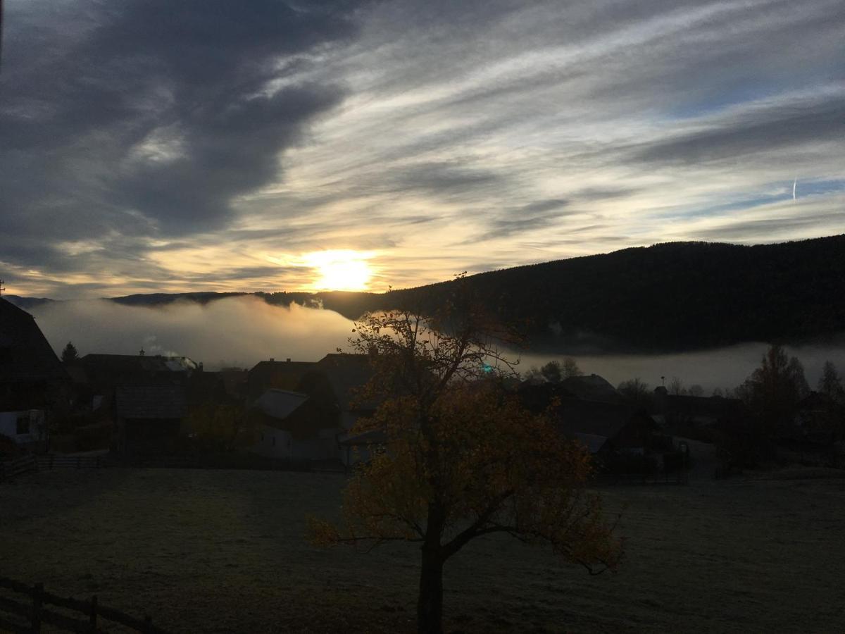 Appartamento Stoff-Maurerguetl Mauterndorf  Esterno foto